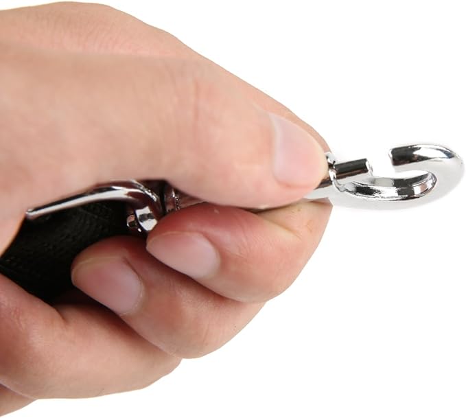 Nylon Dog Training Leash, Traction Rope, 4/5/6 Feet Long, 3/4 Inch 1 Inch Wide, for Small and Medium Dogs (1'' x 4 FT, Black) - PAWPICO