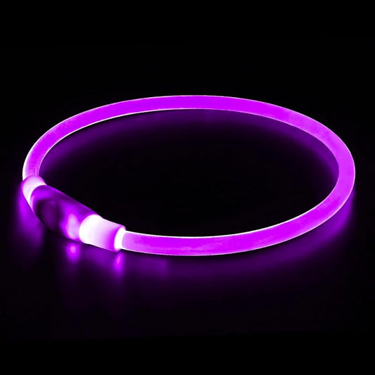Light up Dog Collar, BSEEN USB Rechargeable Flash Dog Necklace Light, Pet Safety Collar Makes Your Beloved Dogs Be Seen at Night for Small Medium Large Dogs(Purple) BSEEN