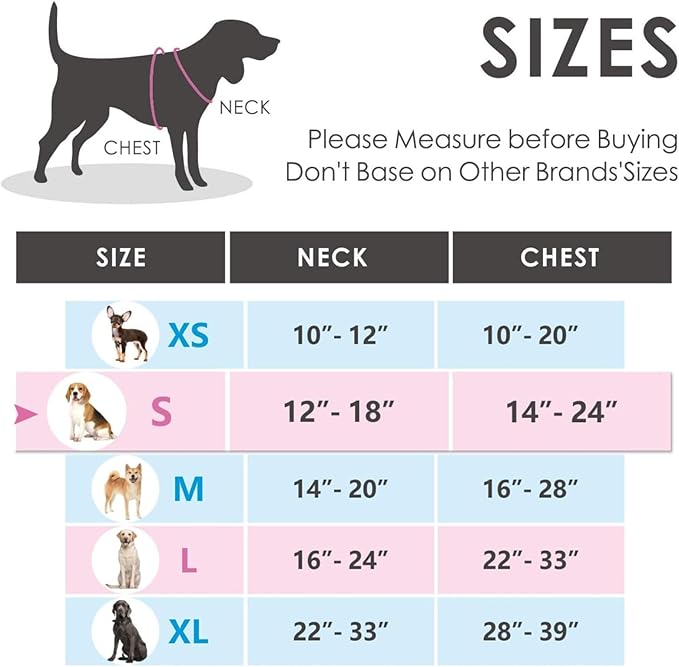 PHOEPET No Pull Dog Harness Reflective Adjustable Vest with a Training Handle, Name ID Pocket, 2 Metal Leash Hooks, 3 Snap Buckles [Easy to Put on & Take Off](S, Baby Blue) PHOEPET