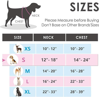 PHOEPET No Pull Dog Harness Reflective Adjustable Vest with a Training Handle, Name ID Pocket, 2 Metal Leash Hooks, 3 Snap Buckles [Easy to Put on & Take Off](S, Baby Blue) PHOEPET