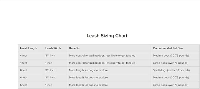 PetSafe Nylon Dog Leash – Strong, Durable, Traditional Style Leash with Easy to Use Bolt Snap for Small, Medium and Large Dogs - 3/4 in. x 6 ft., Raspberry PetSafe