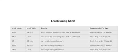 PetSafe Nylon Dog Leash – Strong, Durable, Traditional Style Leash with Easy to Use Bolt Snap for Small, Medium and Large Dogs - 3/4 in. x 6 ft., Raspberry PetSafe