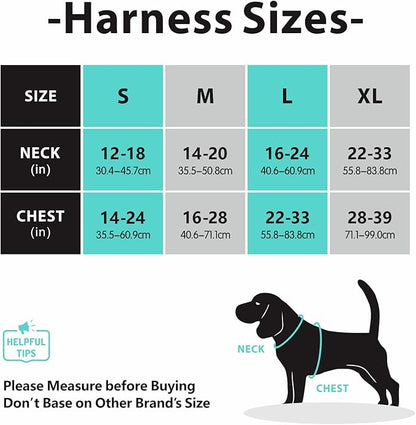 PoyPet No Pull Dog Harness, No Choke Front Clip Dog Reflective Harness, Adjustable Soft Padded Pet Vest with Easy Control Handle for Small to Large Dogs(Mint Blue,M) PoyPet