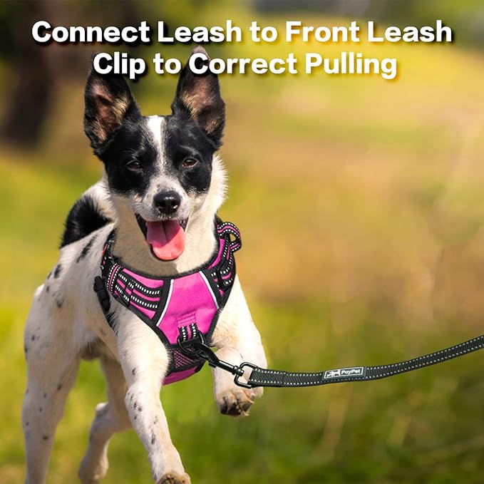 PoyPet No Pull Dog Harness, No Choke Front Clip Reflective Dog Vest with Soft Padded Vertical Handle, 3 Leash Attachments for Small Medium Large Dogs (Pink,L) PoyPet