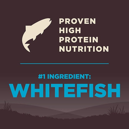 Wellness CORE Grain-Free High-Protein Dry Dog Food, Natural Ingredients, Made in USA with Real Meat, All Breeds, For Adult Dogs (Ocean Whitefish, Herring & Salmon, 4-Pound Bag) - PAWPICO