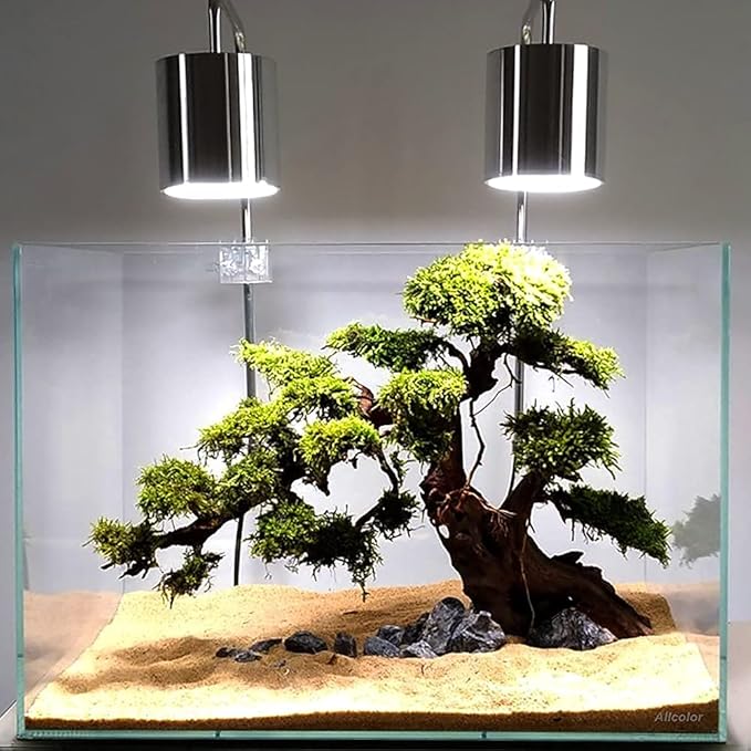 Ultra Clear Rimless Aquarium Tank 2-22 gallons Low Iron Glass (10GaI - Top Glass Canopy) Allcolor
