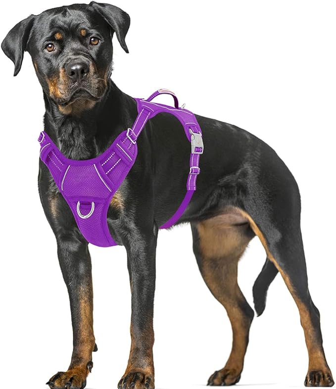 BARKBAY No Pull Dog Harness Large Reflective Dog Harness with Front Clip and Easy Control Handle for Walking Training Running with ID tag Pocket(Purple,XL) BARKBAY