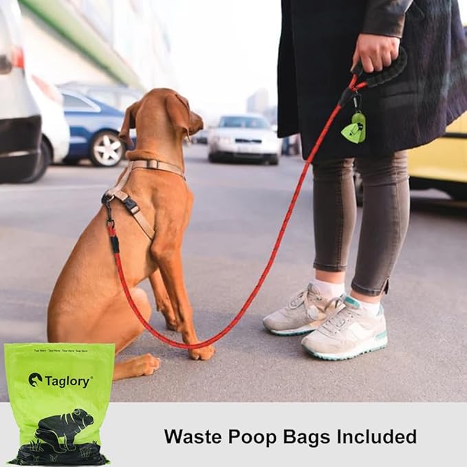 Taglory Rope Dog Leash 6 FT with Comfortable Padded Handle, Highly Reflective Threads Leash for Small Dogs, 3/8 inch, Red Taglory