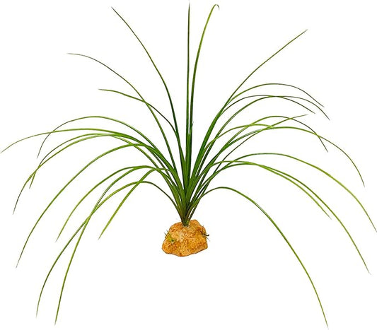 Woyrise Reptile Plants for Terrarium Decor, Amphibian Habitat Artificial Plants Bearded Dragon Tank Accessories fit Crested Gecko Leopard Lizard Chameleon Ball Python Snake Frog - Calamus Woyrise