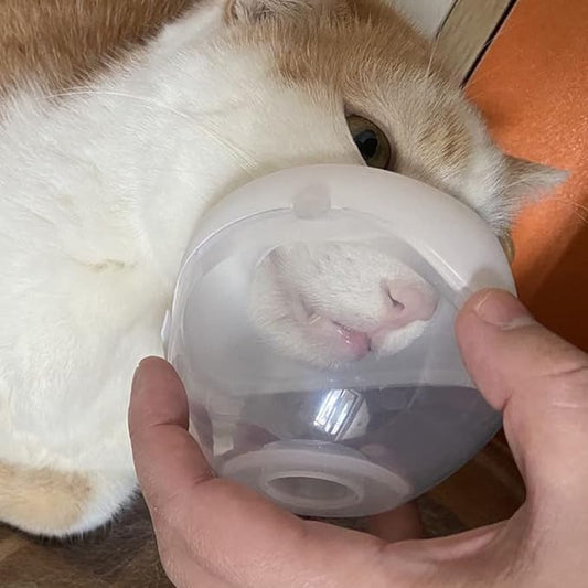 Lying Down Nebulizer Cup and Inhaler Mask for Cats and Small Dogs, Oxygen Mask for Pets (No Nebulizer Device) (S) WhaleSing