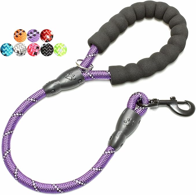 BAAPET 2/4/5/6 FT Dog Leash with Comfortable Padded Handle and Highly Reflective Threads for Small Medium and Large Dogs (2FT-1/2'', Purple) BAAPET