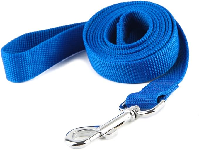 Nylon Dog Training Leash, Traction Rope, 4Ft /5 Foot /6 Feet Long, 5/8 inch 3/4 Inch 1 Inch Wide, for Small and Medium Dogs (1'' x 12 FT, Blue) TAIDA