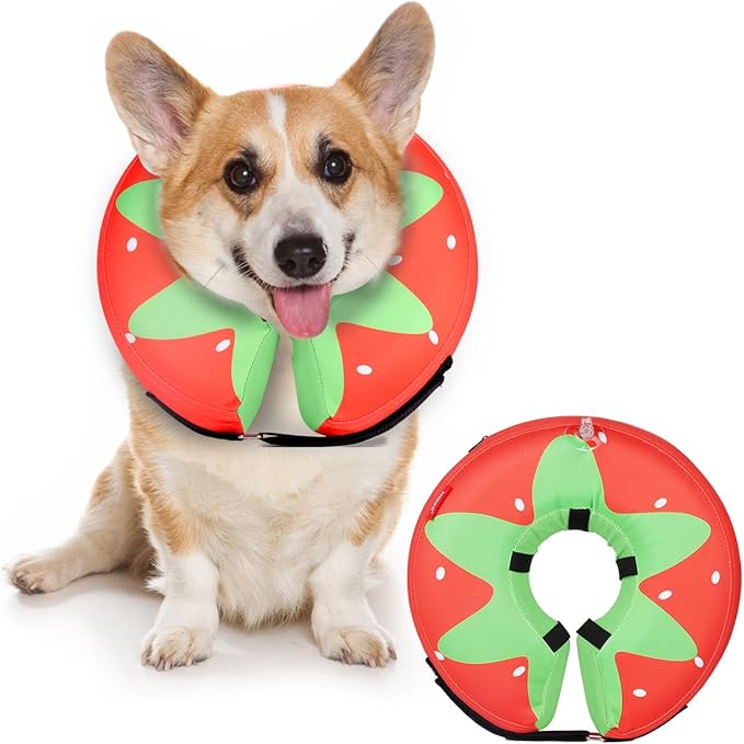 Dog Cone Collar for Small Medium Large Dogs for After Surgery, Pet Inflatable Neck Donut Collar Soft Protective Recovery Cone for Dogs and Cats-Alternative E Collar Does Not Block Vision-Strawberry,M MIDOG
