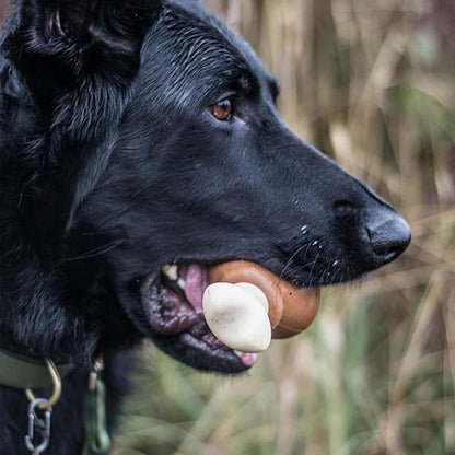 Barkbox Super Chewer Tough Dog Chew Toys for Aggressive Chewers, Dental Stimulating (Turkey - Large) - PAWPICO