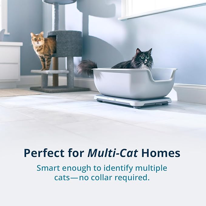 Smart Litterbox Health Monitoring System for Cat Health - PAWPICO