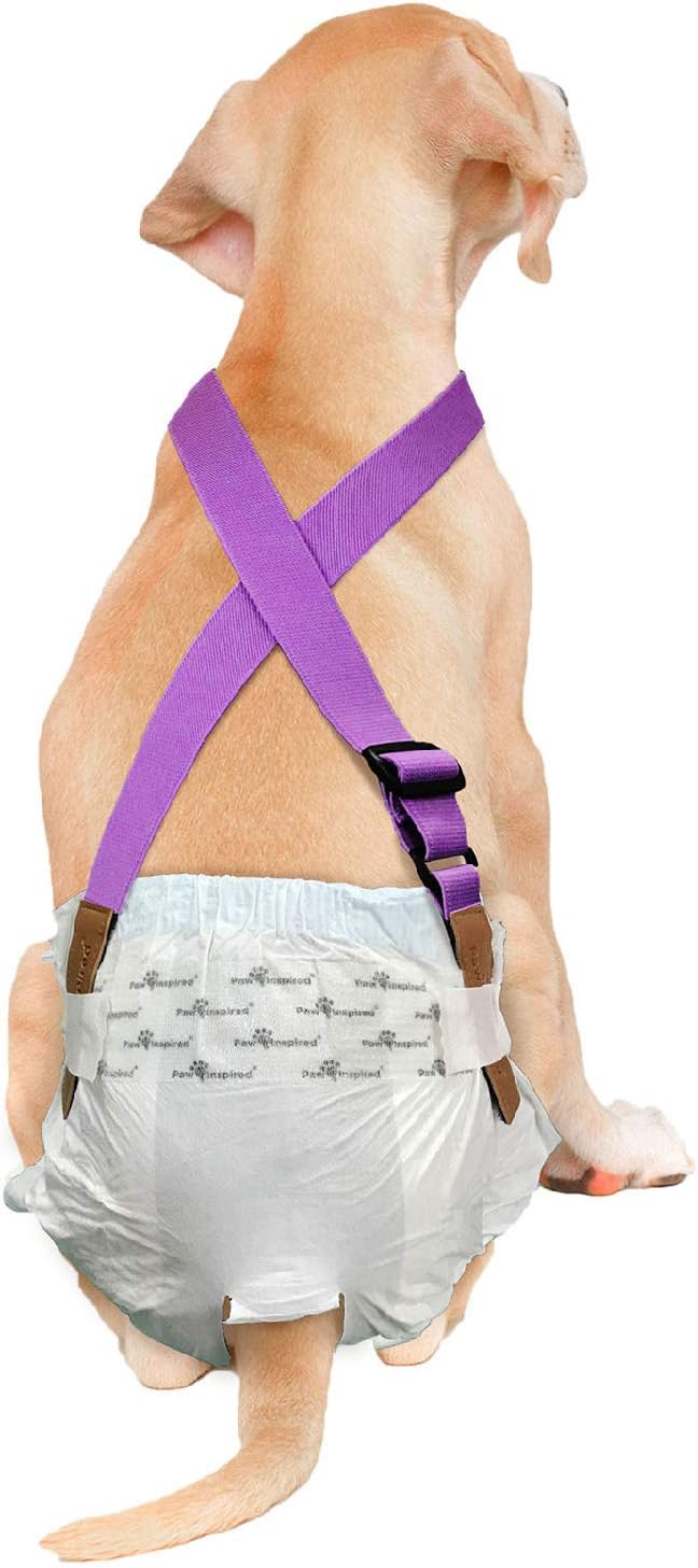 Paw Inspired Dog Diaper Suspenders with Velcro Fasteners | Stretchy Adjustable Suspenders for Female and Male Disposable and Washable Diapers | Fits Small, Medium and Large Size Pets (S/M, Purple) - PAWPICO