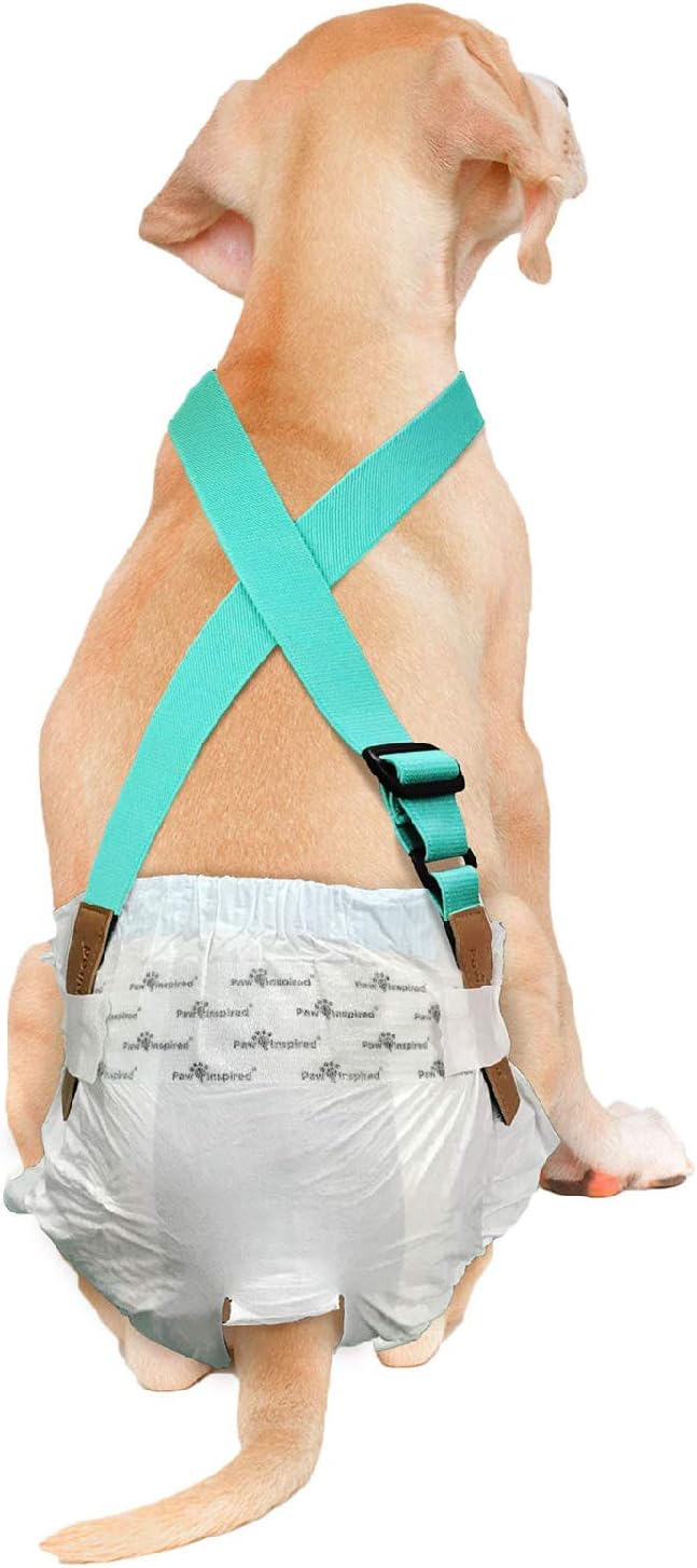 Paw Inspired Dog Diaper Suspenders with Velcro Fasteners | Stretchy Adjustable Suspenders for Female and Male Disposable and Washable Diapers | Fits Small, Medium and Large Size Pets (M/L, Aqua) - PAWPICO