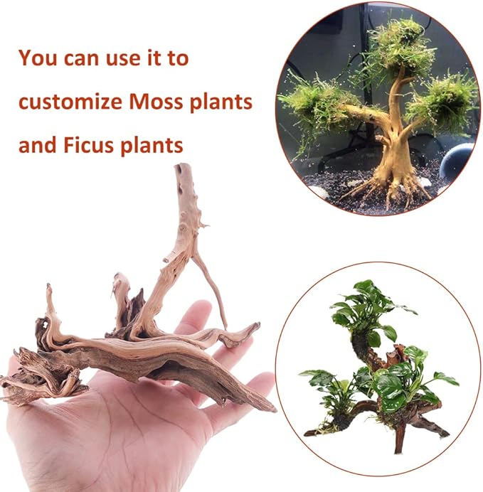 Aquarium Driftwood Natural Spiderwood for Aquarium Decor 4PCS 6-8inch Driftwood Branches for Fish Tank Decorations CENIBBLE