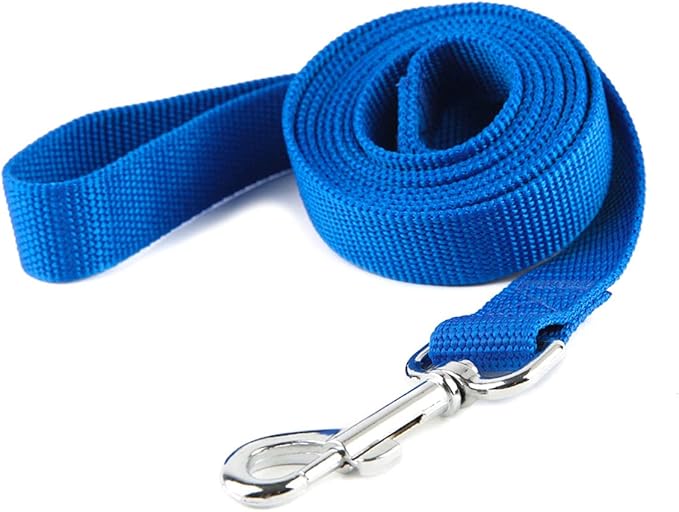 Nylon Dog Training Leash, Traction Rope, 4/5/6 Feet Long, 3/4 Inch 1 Inch Wide, for Small and Medium Dogs (1'' x 5 FT, Blue) TAIDA