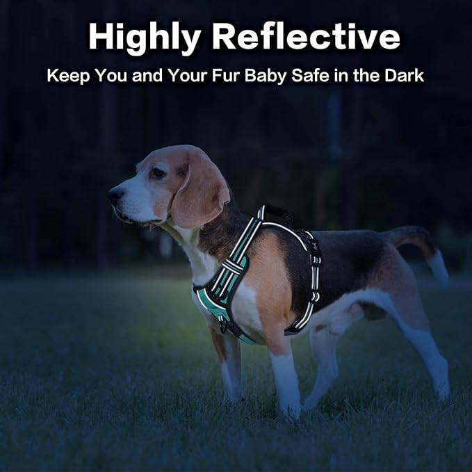 PoyPet No Pull Dog Harness, No Choke Front Clip Reflective Dog Vest with Soft Padded Vertical Handle, 3 Leash Attachments for Small Medium Large Dogs (Mint Blue,M) PoyPet