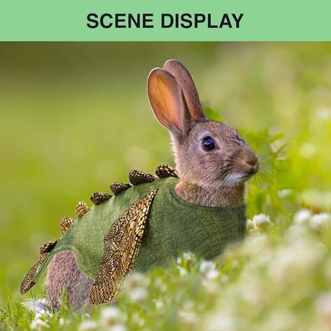 Rabbit Harness Leash Set, Halloween Rabbit Costume Adjustable Small Animal Dinosaur Leash Harness for Rabbits (Large HOKABLE