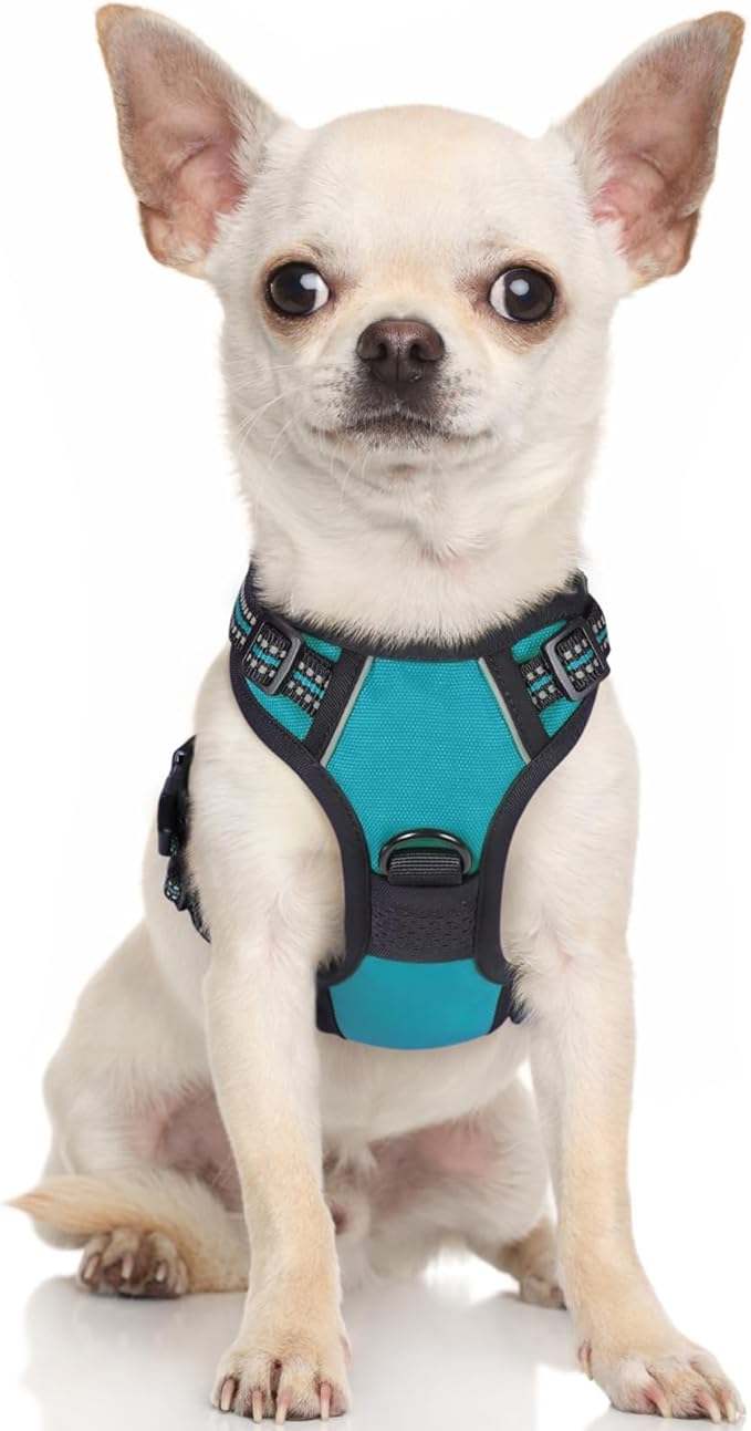 rabbitgoo Dog Harness, No-Pull Pet Harness with 2 Leash Clips, Adjustable Soft Padded Dog Vest, Reflective No-Choke Pet Oxford Vest with Easy Control Handle for Large Dogs, Teal, X-Small - PAWPICO