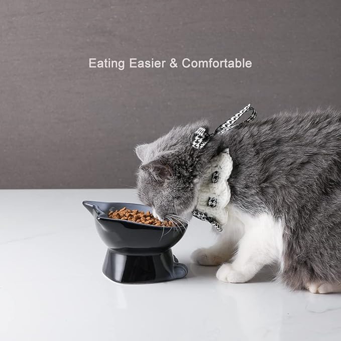 Nihow Elevated Cat/Dog Bowls: 5 Inch Ceramic Raised Cat Food & Water Bowl Set for Protecting Pet's Spine - Feeding & Watering Supplies for Pets - Elegant Gray (4.5 OZ /1 PC) - PAWPICO