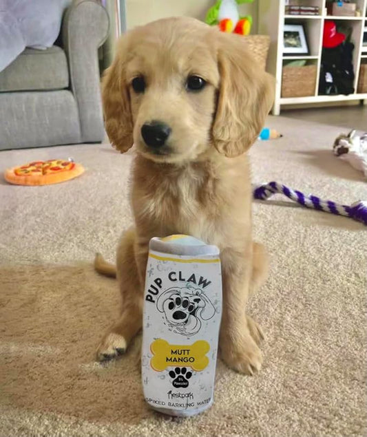 Nestpark Pup Claw Dog Toys - Funny Cute Plush Dog Toys with Squeaker - Parody (2 Pack) (Tropical Pack) - PAWPICO