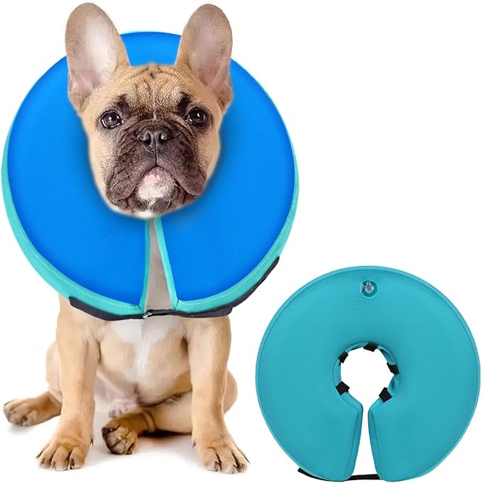 Dog Cone Collar for Small Medium Large Dogs for After Surgery, Pet Inflatable Neck Donut Collar Soft Protective Recovery Cone for Dogs and Cats-Alternative E Collar Does Not Block Vision-GreenBlue,M MIDOG