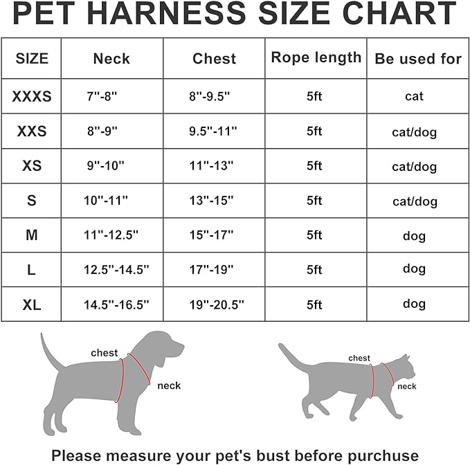 AMTOR Small Dog Harness with Leash Set, No Escape Easy Walk Puppy Harnesses for Training Walking, Step-in Reflective Soft Dogs Vest for XS S Medium Extra-Small Large Sized Dog(Fuchsia,L) - PAWPICO