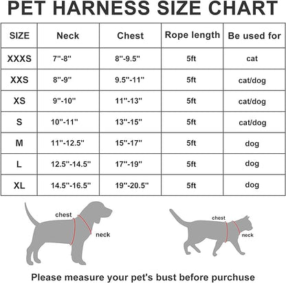 AMTOR Small Dog Harness with Leash Set, No Escape Easy Walk Puppy Harnesses for Training Walking, Step-in Reflective Soft Dogs Vest for XS S Medium Extra-Small Large Sized Dog(Fuchsia,L) - PAWPICO
