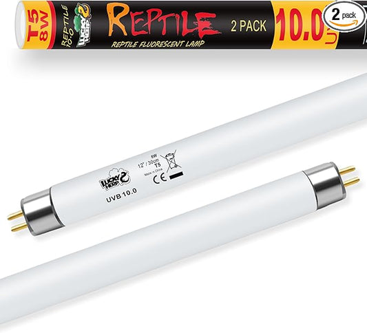 LUCKY HERP 2 Pack T5 UVB 10.0 Reptile Light 8W, UVA UVB Fluorescent Lamp Tube, UVB Lighting Bulb for Turtles, Chameleon, Tortoises, Lizard LUCKYHERP