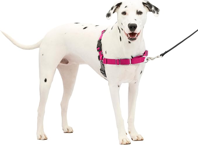 PetSafe Easy Walk No-Pull Dog Harness - The Ultimate Harness to Help Stop Pulling - Take Control & Teach Better Leash Manners - Helps Prevent Pets Pulling on Walks, Medium/Large, Raspberry/Gray PetSafe