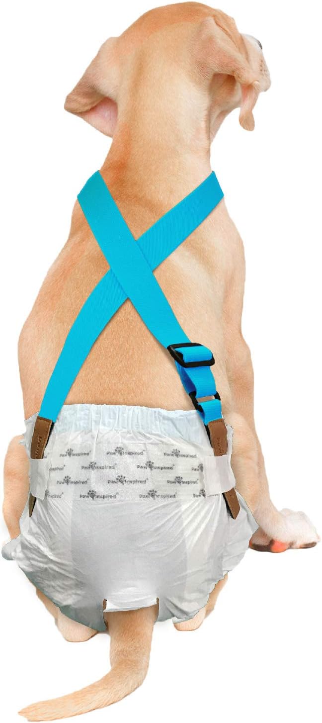 Paw Inspired Dog Diaper Suspenders with Velcro Fasteners | Stretchy Adjustable Suspenders for Female and Male Disposable and Washable Diapers | Fits Small, Medium and Large Size Pets (M/L, Blue) - PAWPICO