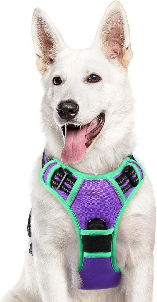 Eagloo Dog Harness for Large Dogs, No Pull Service Vest with Reflective Strips and Control Handle, Adjustable and Comfortable for Easy Walking, No Choke Harness with 2 Metal Rings, Purple & Green, XL GoExplorewithEagloo