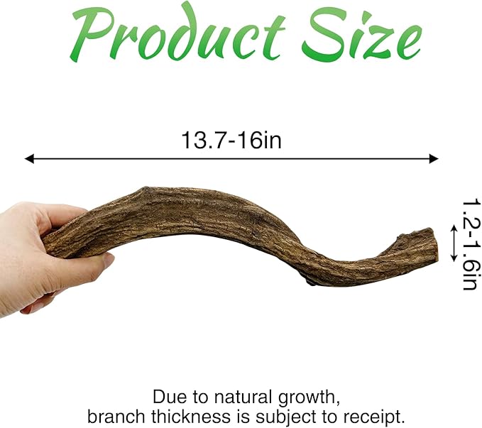 Reptile Climbing Branch Decor Wood Snake Terrarium Branches Lizard Habitat Decorations Wooden Tree Trunk Ornament for Bearded Dragon Geckos Chameleon Frog Pack of 4 (14-16 inch) Apatal