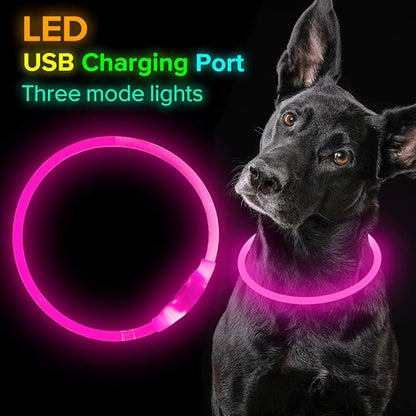 Led Dog Collar, BSEEN USB Rechargeable Flash Dog Necklace Light, Pet Safety Collar Makes Your Beloved Dogs Be Seen at Night for Small Medium Large Dogs(Pink) - PAWPICO