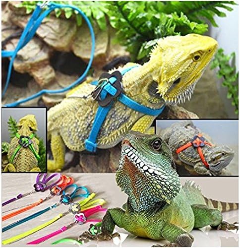 NT_Big Adjustable Reptile Lizard Harness Leash Adjustable Multicolor Light Soft Fashion Serdokntbig