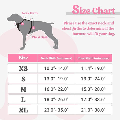 rabbitgoo Dog Harness No Pull with 2 Leash Clips, Adjustable Soft Padded, Reflective Oxford No Choke Pet Vest with Easy Control Handle for Large Dogs, Pink, L rabbitgoo