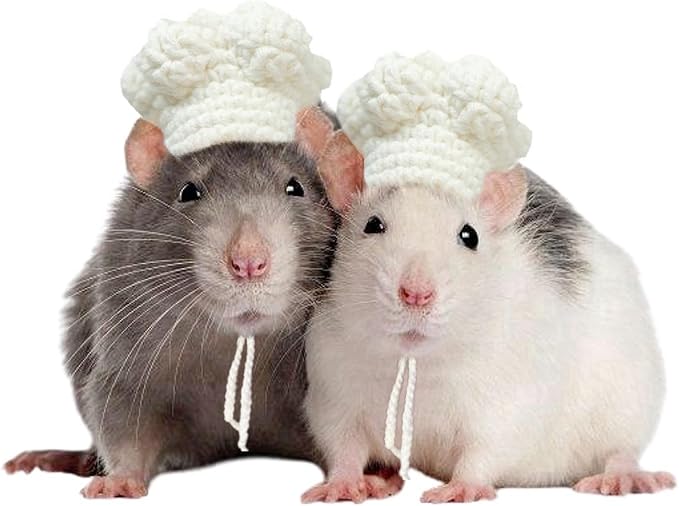 Guinea Pig Chef Hat - Hand Knitted Small Animal Cooking Chef Cap with Adjustable Strap Halloween Costume Outfit Prop Clothes Accessories for Rabbit Bunny Chinchilla Kitten Puppy (Small) SEZDEKI