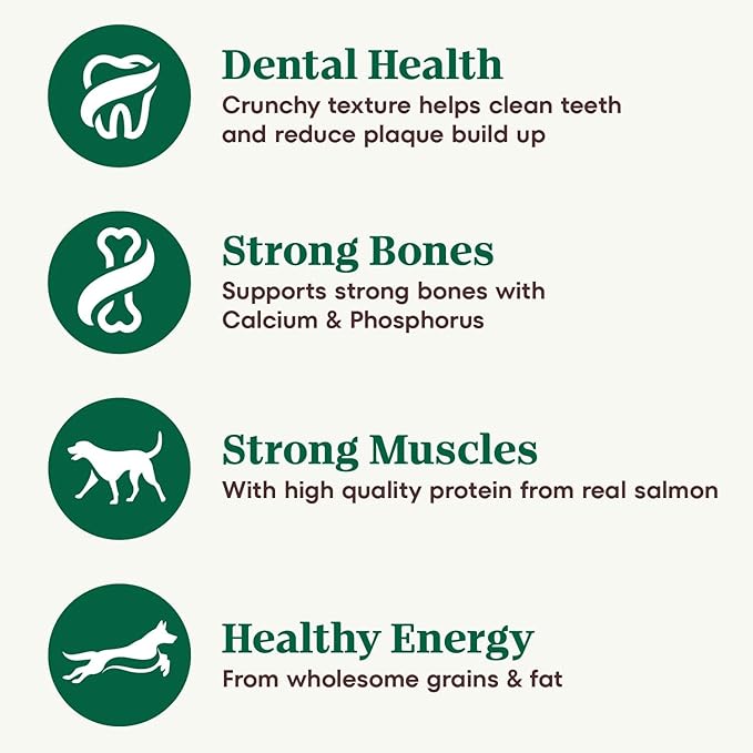 Nutro Natural Choice Adult Dry Dog Food, Salmon & Brown Rice Recipe, 28 lb. Bag - PAWPICO