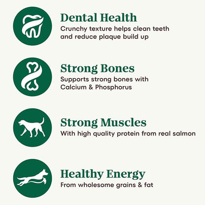 Nutro Natural Choice Adult Dry Dog Food, Salmon & Brown Rice Recipe, 28 lb. Bag - PAWPICO