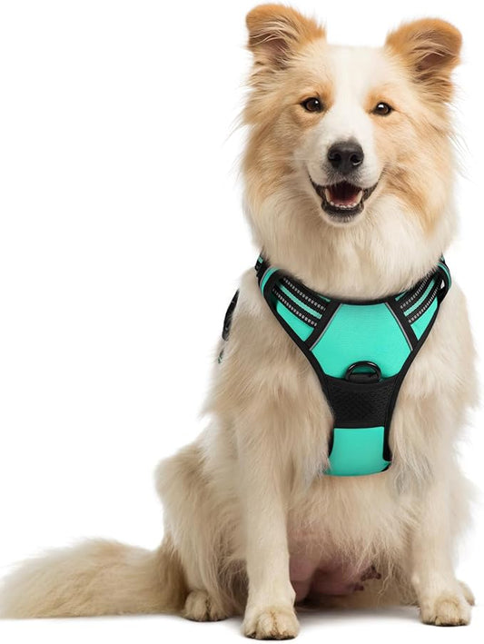 rabbitgoo Dog Harness No Pull with 2 Leash Clips, Adjustable Soft Padded, Reflective Oxford No Choke Pet Vest with Easy Control Handle for Medium Sized Dogs, Turquoise, M rabbitgoo