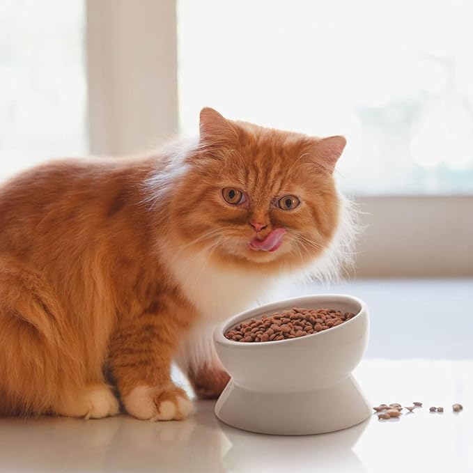 Y YHY Elevated Cat Food Bowl, Raised Pet Food and Water Bowl for Cat and Small Dog, Tilted Ceramic Water Bowl No Spill,15oz, Dishwasher Safe - PAWPICO
