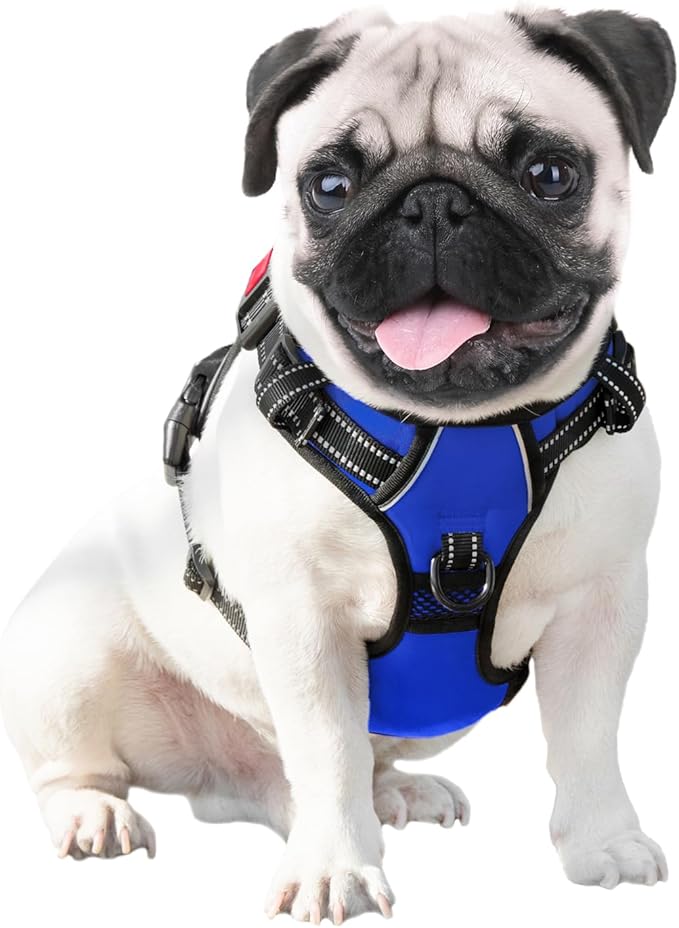 PHOEPET No Pull Dog Harness Medium Reflective Front Clip Vest with Handle,Adjustable 2 Metal Rings 3 Buckles,[Easy to Put on & Take Off](M, Royal Blue) - PAWPICO