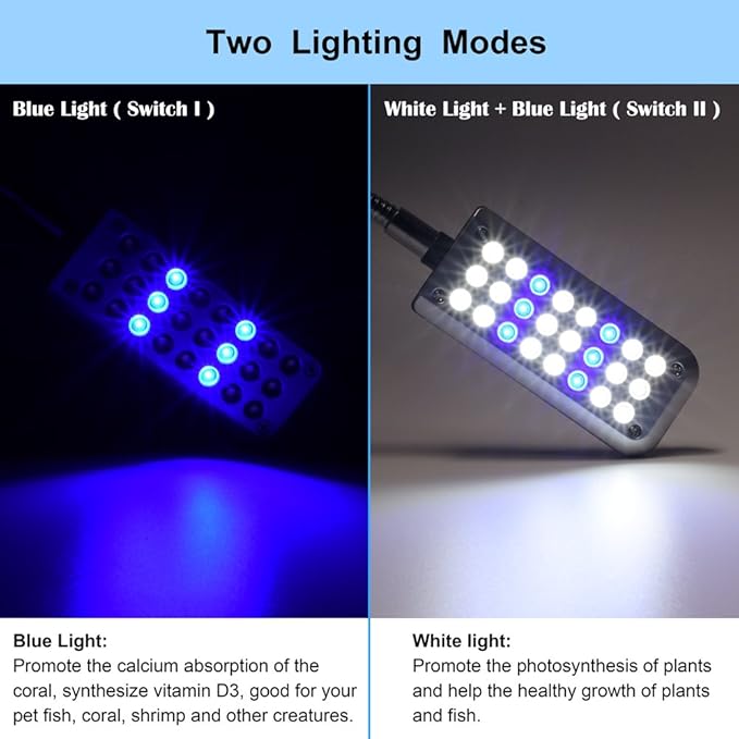 Aquarium Light Small LED Clip Light for Fish Tank, 1 Yr Warranty DaToo