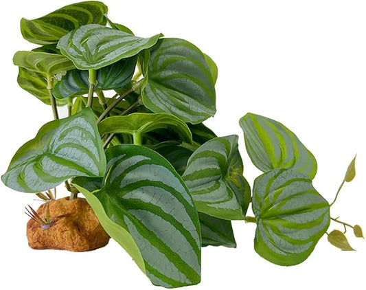 YOGURTCK Reptile Artificial Plants, Amphibian Habitat Hideout, Terrarium Decorations - Peperomia Watermelon YOGURTCK