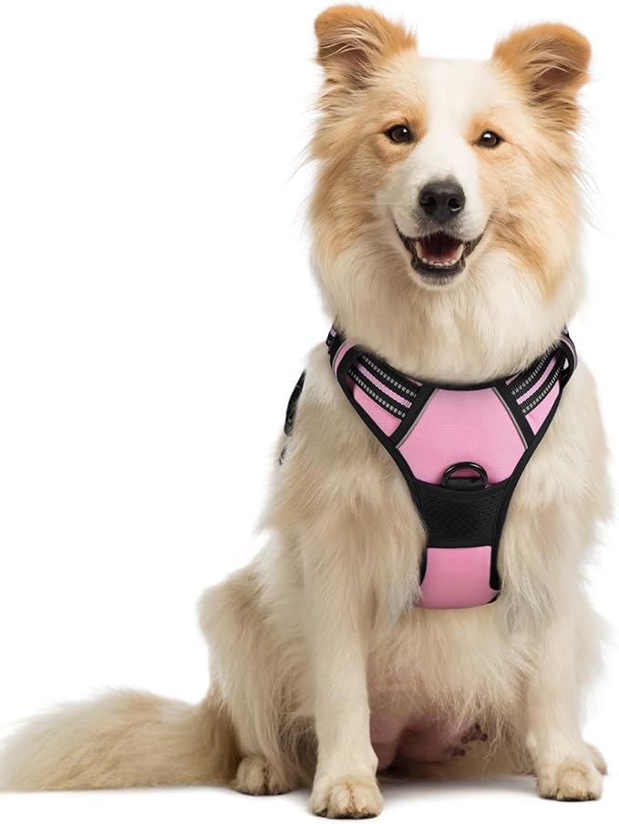 rabbitgoo Dog Harness No Pull with 2 Leash Clips, Adjustable Soft Padded, Reflective Oxford No Choke Pet Vest with Easy Control Handle for Medium Sized Dogs, Pink, M rabbitgoo