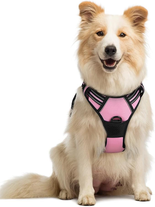 rabbitgoo Dog Harness No Pull with 2 Leash Clips, Adjustable Soft Padded, Reflective Oxford No Choke Pet Vest with Easy Control Handle for Medium Sized Dogs, Pink, M rabbitgoo