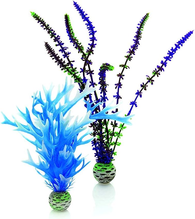 biOrb Blue/Purple Plant Pack Medium biOrb